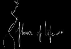 Flower of life documentaire pilule histoire pilule