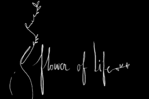 Flower of life documentaire pilule histoire pilule