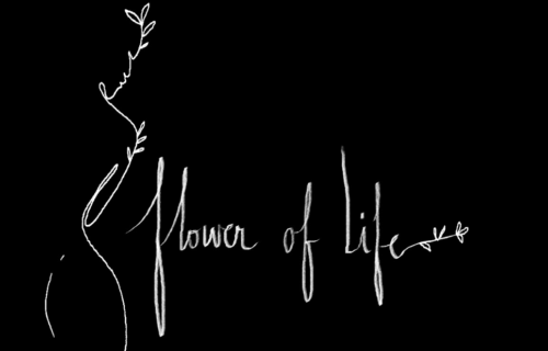 Flower of life documentaire pilule histoire pilule